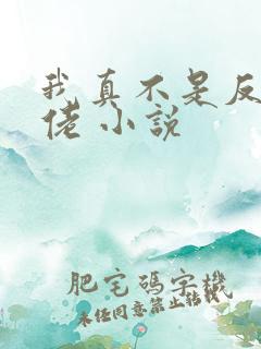 我真不是反派大佬 小说