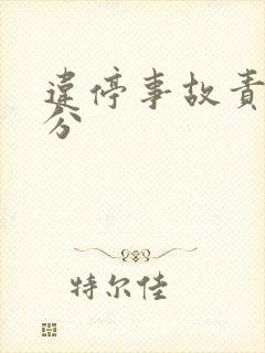 违停事故责任划分