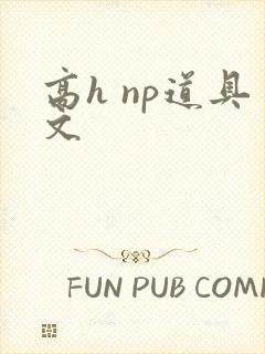 高h np道具文