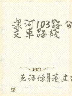 漯河103路公交车路线
