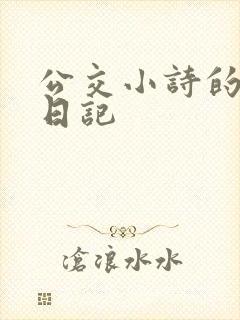 公交小诗的高中日记