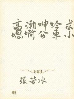 高潮呻吟求饶h嗯啊公车小说为