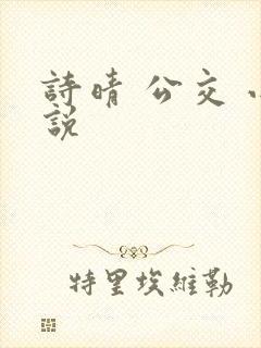 诗晴 公交 小说
