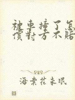 被车撞了怎么赔偿对方不赔怎么办 被车撞了怎么赔偿对方不赔怎么办