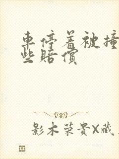 车停着被撞要哪些赔偿