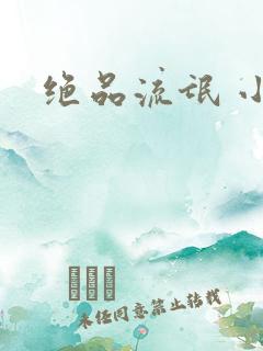 绝品流氓 小说