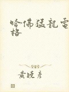 哈佛猛龙电车价格