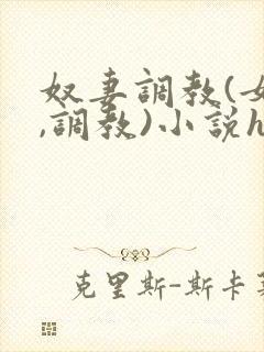 奴妻调教(女m,调教)小说hhh