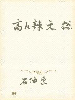 高h辣文 总裁