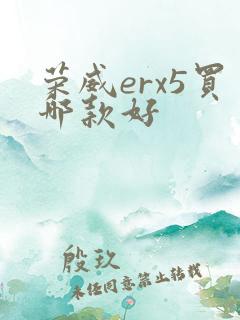 荣威erx5买哪款好