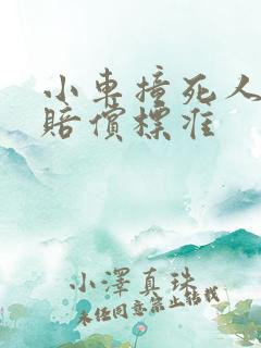 小车撞死人全责赔偿标准 小车撞死人全责赔偿标准
