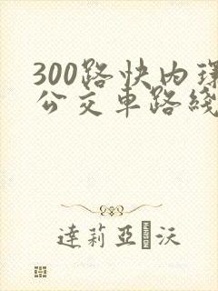 300路快内环公交车路线图
