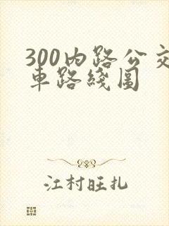 300内路公交车路线图