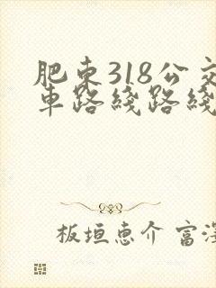 肥东318公交车路线路线图