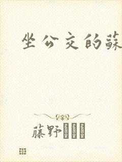 坐公交的苏晴