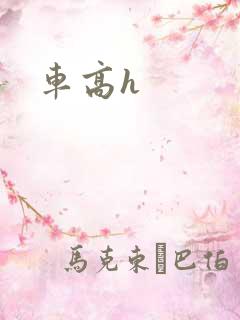 车高h