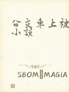 公交车上被摸奶小说