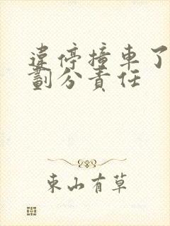 违停撞车了怎么划分责任