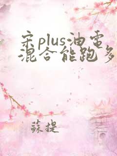 宋plus油电混合能跑多少公里