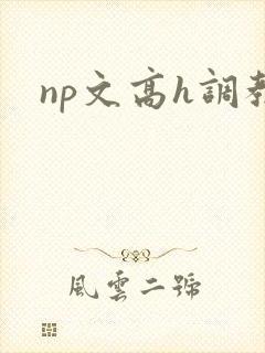 np文高h调教