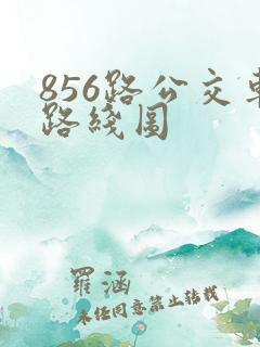 856路公交车路线图