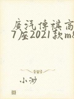 广汽传祺商务车7座2021款m8