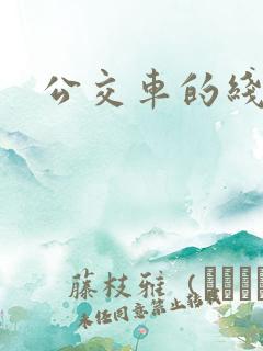 公交车的线路