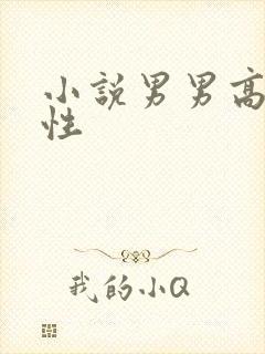 小说男男高h双性