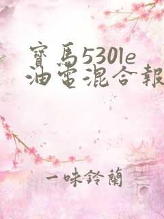 宝马530le油电混合报价