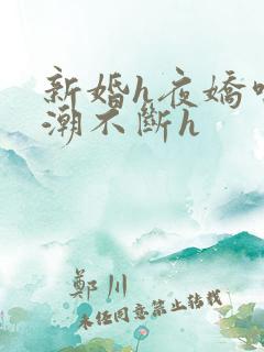 新婚h夜娇喘高潮不断h