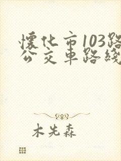 怀化市103路公交车路线