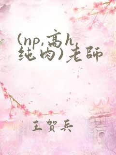 (np,高h,纯肉)老师