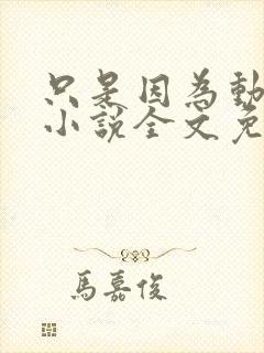 只是因为动了心小说全文免费阅读