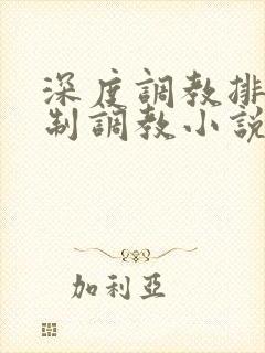 深度调教排泄控制调教小说
