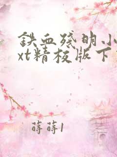 铁血残明小说txt精校版下载
