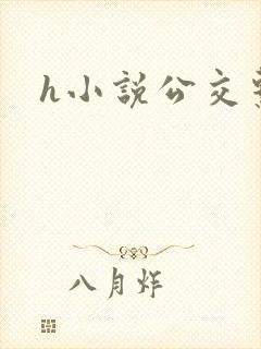 h小说公交系列