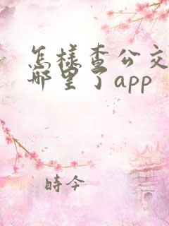怎样查公交车到哪里了app