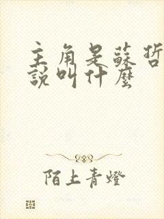 主角是苏哲的小说叫什么