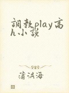 调教play高h小说 调教play高h小说