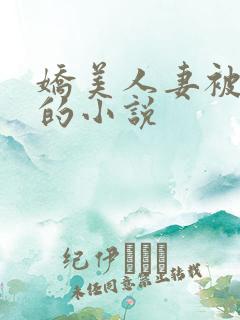 娇美人妻被人插的小说