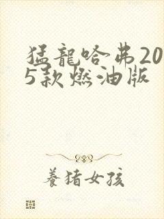 猛龙哈弗2025款燃油版