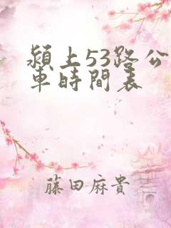 颍上53路公交车时间表