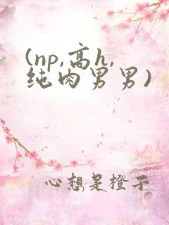 (np,高h,纯肉男男)