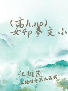 (高h,np)女4p拳交小美