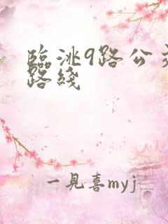 临洮9路公交车路线