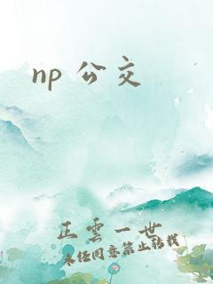 np 公交