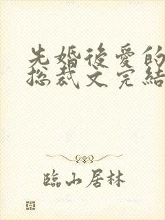 先婚后爱的小说总裁文完结小说