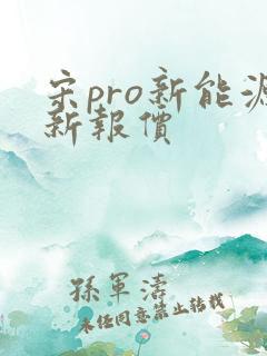 宋pro新能源新报价