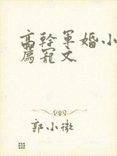 高干军婚小说推荐宠文