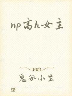 np高h女主